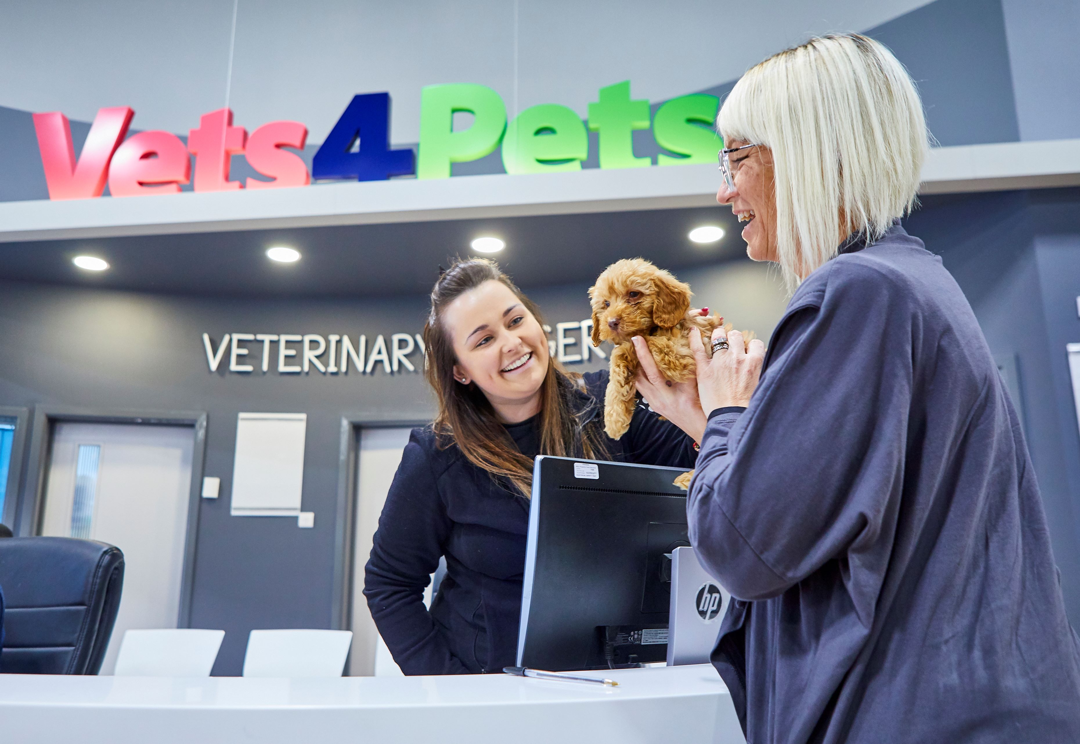 Pets at hot sale home careers