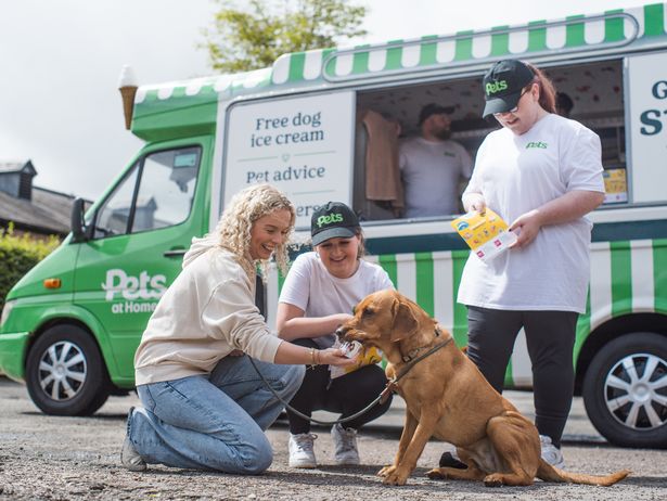 Ice Cream Van 2