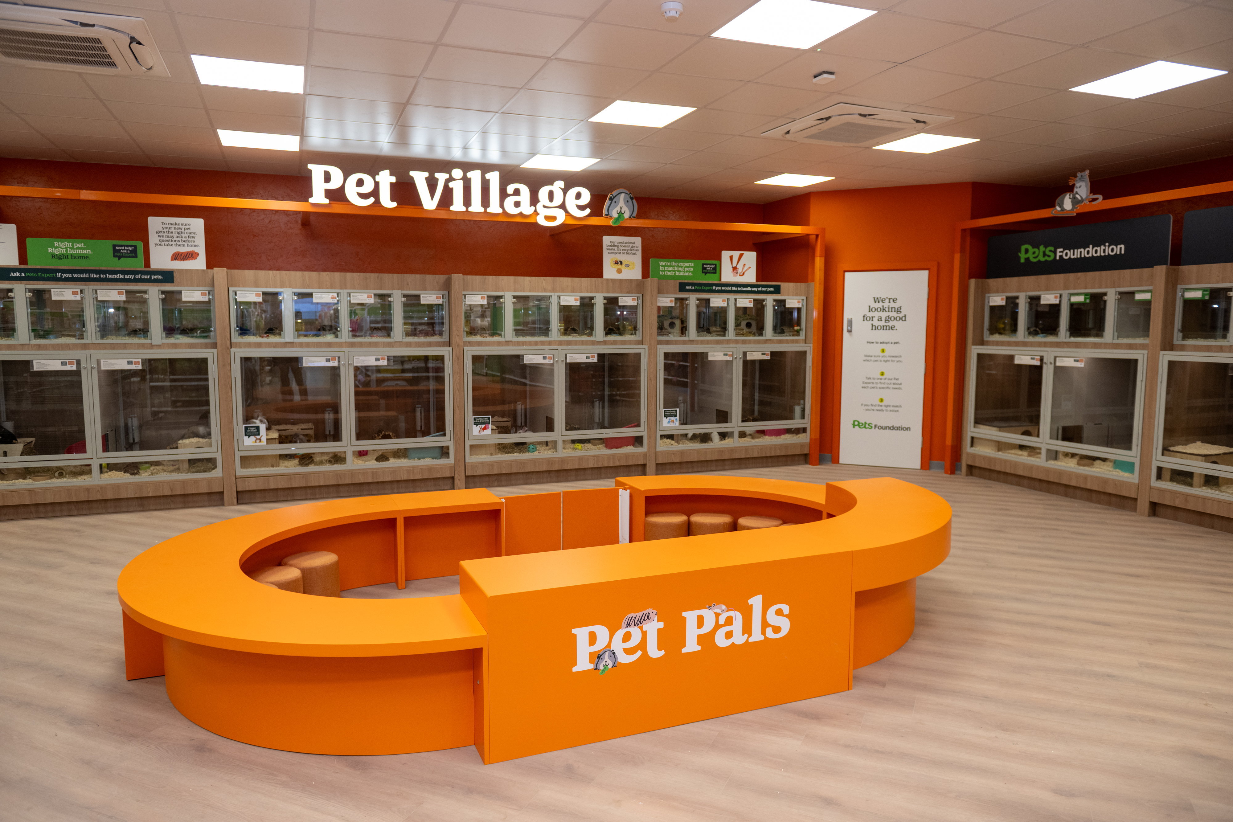 SWNS PETS AT HOME NEW MALDEN 41